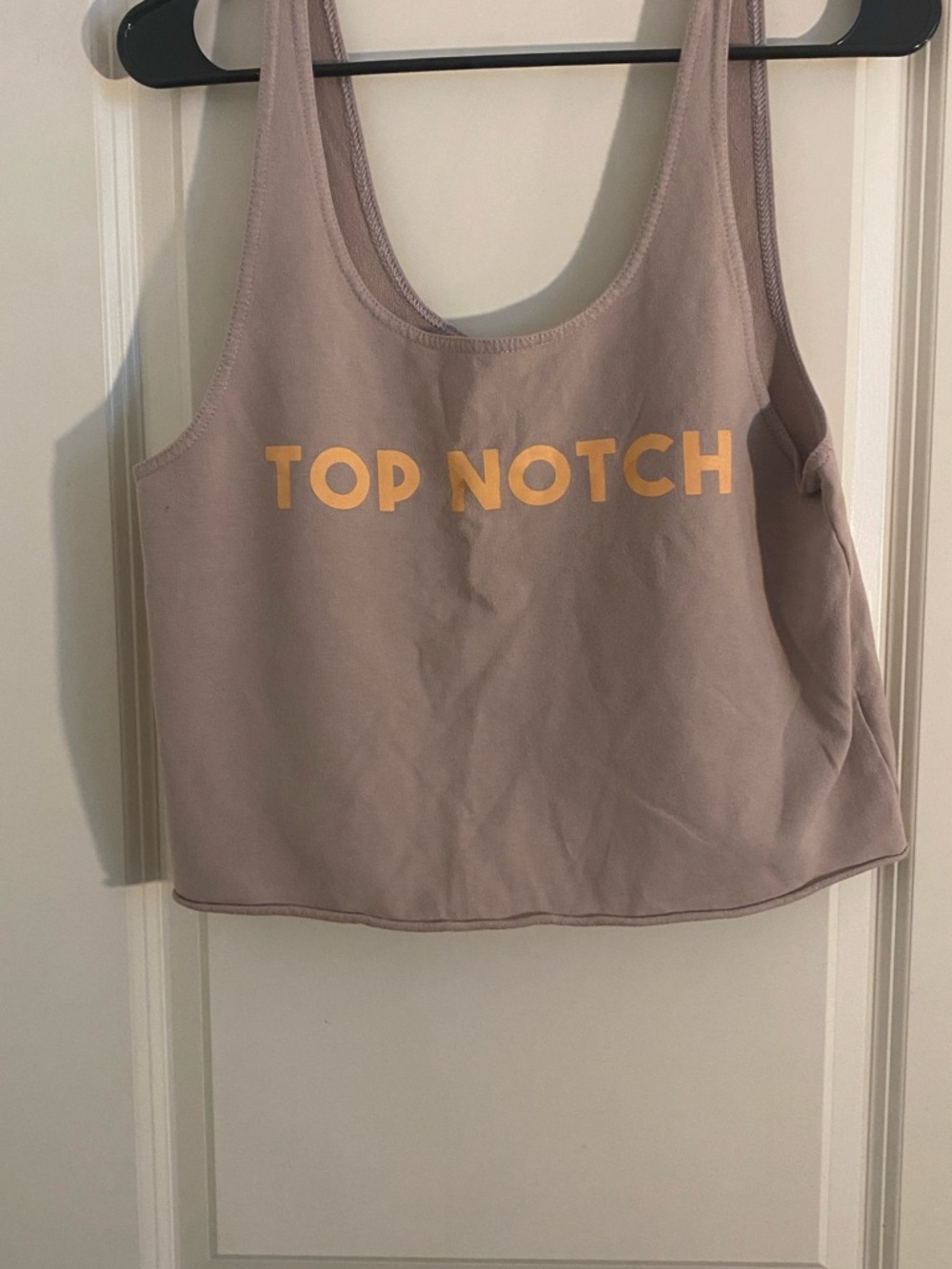 American Eagle Outfitters Mauve Crop Tank with Yellow 'TOP NOTCH' Print